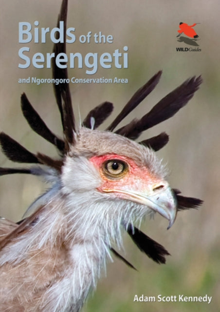 Binding: Paperback
Description: Located in northern Tanzania the Serengeti is one of the world's most famous wildlife regions. This title features more than 270 bird species most likely to be encountered in the Serengeti National Park and Ngorongoro Conservation Area.