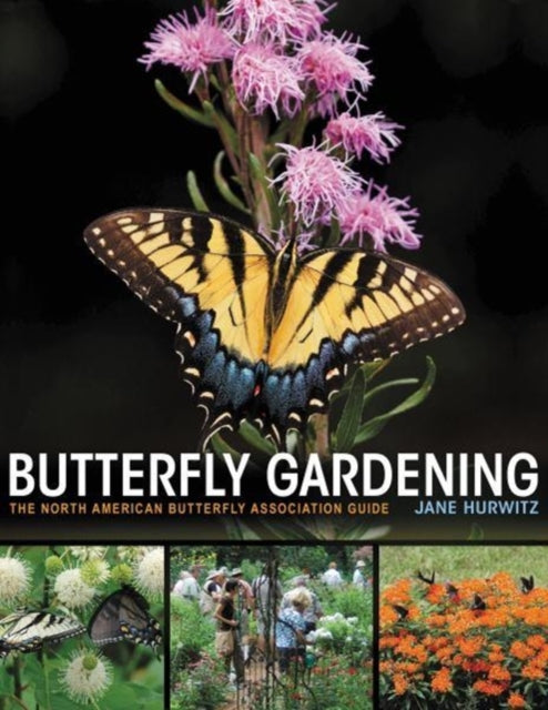 Hurwitz Jane - Butterfly Gardening The North American Butterfly Association Guide - Paperback