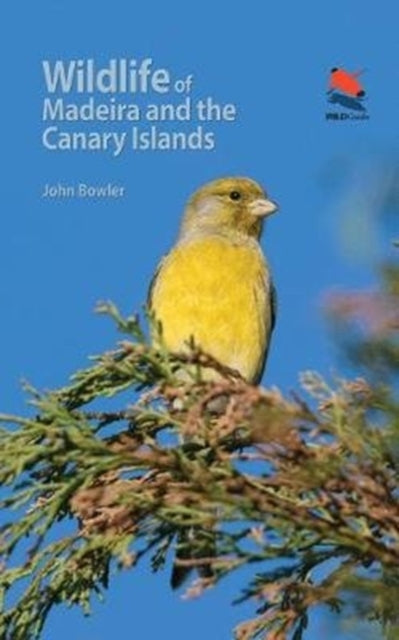 Bowler John - Wildlife Of Madeira And The Canary Islands A Photographic Field Guide To Birds Mammals Reptiles Amphibians Butterflies And Dragonflies - Paperback