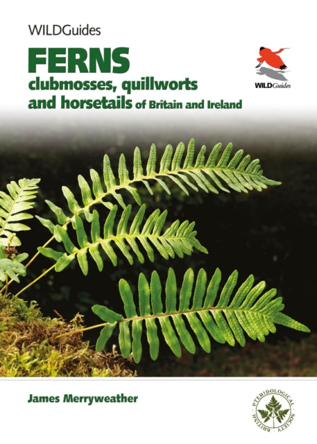 Merryweather James - Ferns Clubmosses Quillworts And Horsetails Of Britain And Ireland - Paperback