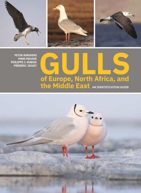 Binding: Paperback
Description: A comprehensive photographic guide to the gull species of the Western Palearctic Gulls occupy a particularly important place in the world of birds. But because they are notoriously difficult to identify they have been relatively neglected in the ornithological literature.