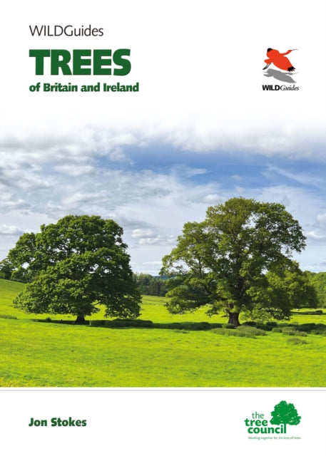 Stokes Jonathan - Trees Of Britain And Ireland - Paperback
