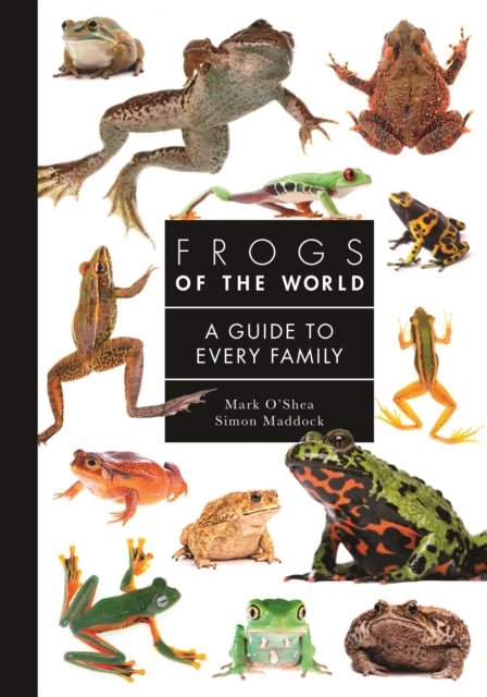Maddock Simon - Frogs Of The World A Guide To Every Family - Hardcover