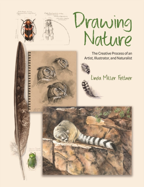 Feltner Linda Miller - Drawing Nature The Creative Process Of An Artist Illustrator And Naturalist - Hardcover