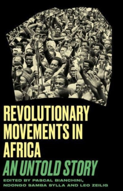 Pluto Press - Revolutionary Movements In Africa An Untold Story - Paperback