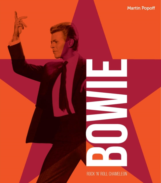 David Bowie Rock N Roll Chameleon