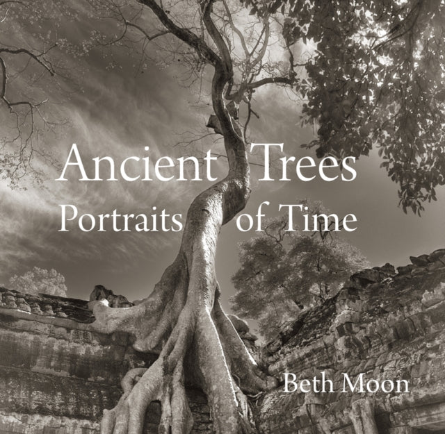 Binding: Hardcover
Description: Beth Moon's fourteen - year quest to photograph ancient trees has taken her across the United States Europe Asia the Middle East and Africa.
