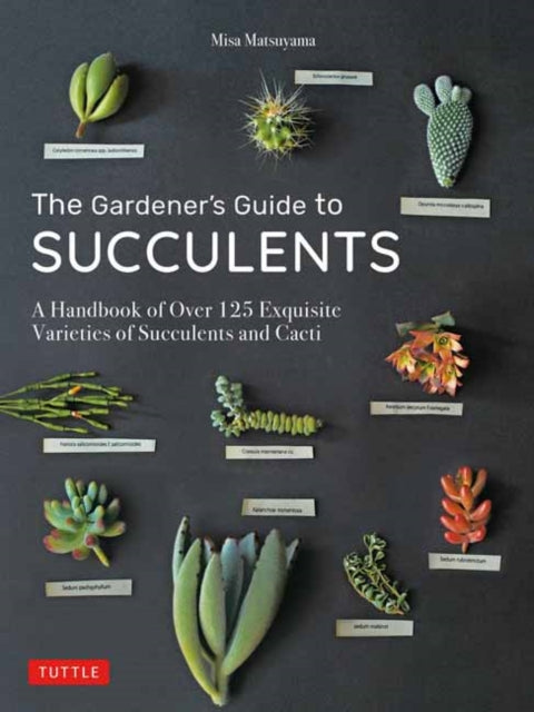 Matsuyama Misa - The Gardener's Guide To Succulents A Handbook Of Over 125 Exquisite Varieties Of Succulents And Cacti - Hardcover