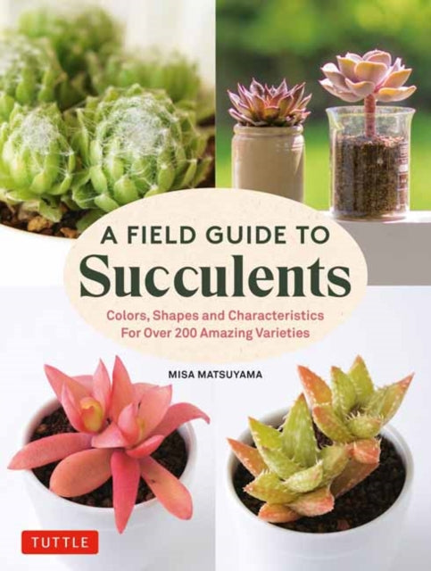 Matsuyama Misa - A Field Guide To Succulents - Hardcover – Book Delivered