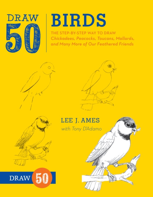 Binding: Paperback
Description: Suitable for children aged 5 to 11 years old this title is targeted at young aspiring artists seeking to develop their technical skills and build a repertoire of subjects particularly animals.