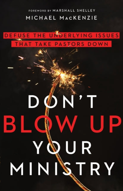 Shelley Marshall - Don` T Blow Up Your Ministry Defuse The Underlying Issues That Take Pastors Down - Paperback