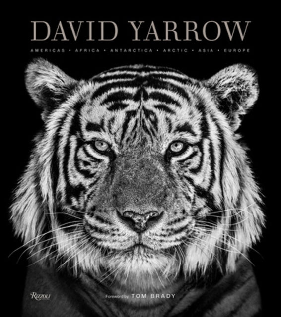 Binding: Hardcover
Description: The must - have photography monograph of the year this lavish oversized volume celebrates David Yarrow's unparalleled wildlife imagery.