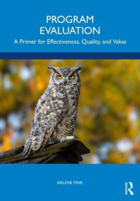 Fink Arlene - Program Evaluation A Primer For Effectiveness Quality And Value - Paperback