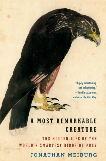 Description: An enthralling account of a modern voyage of discovery as we meet the clever social birds of prey called caracaras which puzzled Darwin fascinate modern - day falconers and carry secrets of our planet's deep past in their family history.