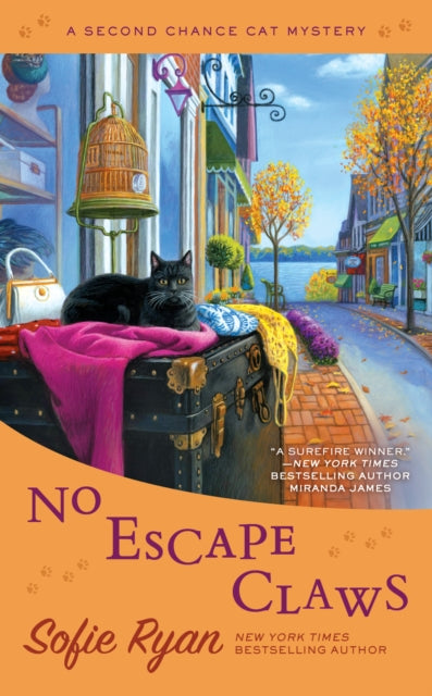 Binding: Paperback
Description: Sarah Grayson and her feline ally Elvis get a chance to see if their sleuthing skills are up to scratch in the sixth instalment of the New York Times bestselling Second Chance Cat Mysteries. It's fall in North Harbor Maine where Sarah owns a charming secondhand shop.