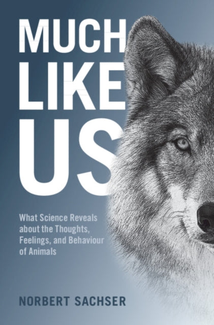 Sachser Norbert - Much Like Us What Science Reveals About The Thoughts Feelings And Behaviour Of Animals - Hardcover