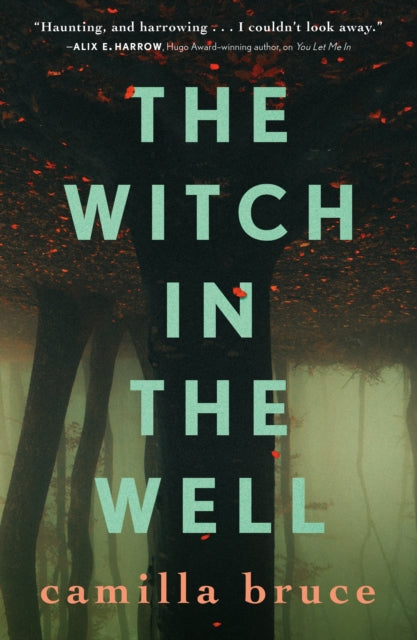 Binding: Paperback
Description: When two former friends reunite after decades apart their grudges flawed ambitions and shared obsession swirl into an all - too - real echo of a terrible town legend in Camilla Bruce's The Witch In the Well.