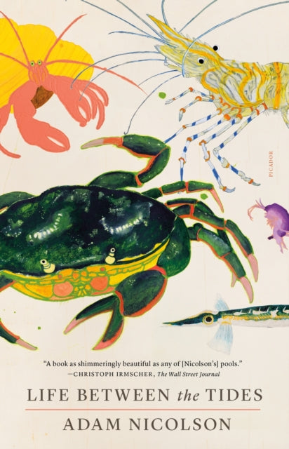 Binding: Paperback
Description: Adam Nicolson explores the marine life inhabiting seashore rock pools with a scientist's curiosity and a poet's wonder in this beautifully illustrated book. The sea is not made of water. Creatures are its genes.