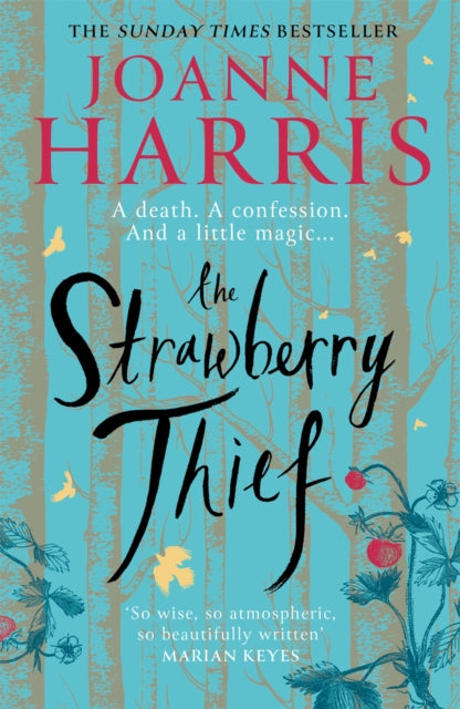 The Strawberry Thief The Sunday Times Bestselling Novel From The Author Of Chocolat