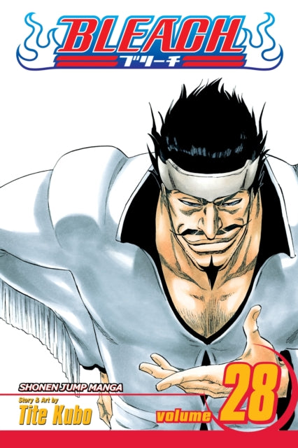 Bleach Vol. 28