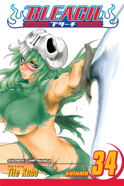 Bleach Vol. 34