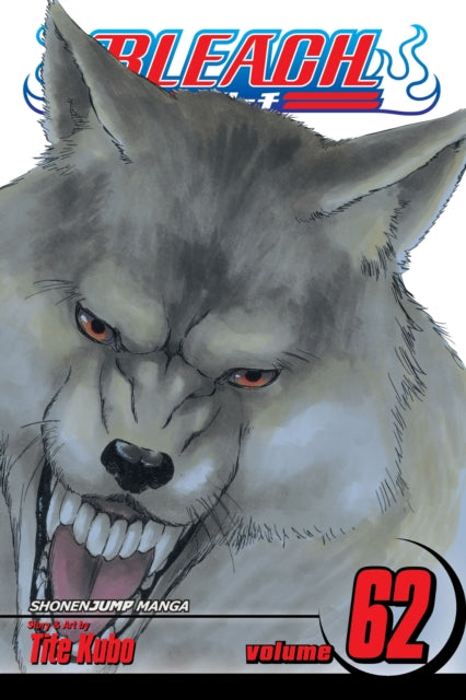 Bleach Vol. 62