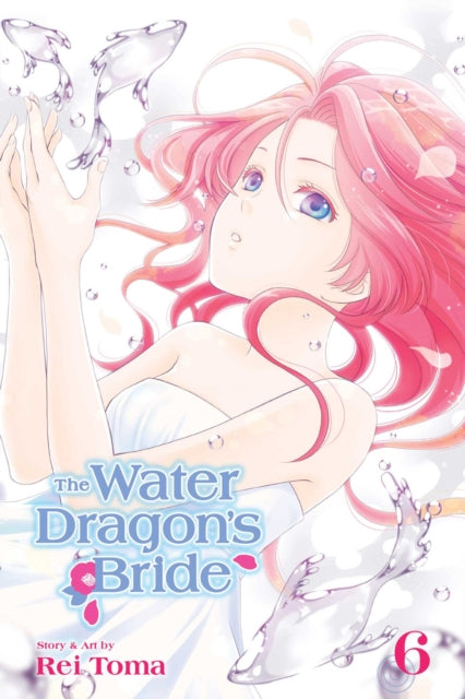 Toma Rei - The Water Dragon's Bride Vol. 6 - Paperback