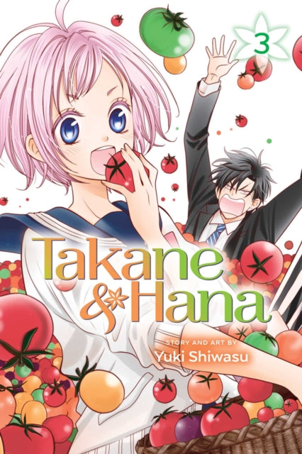 Shiwasu Yuki - Takane & Hana Vol. 3 - Paperback