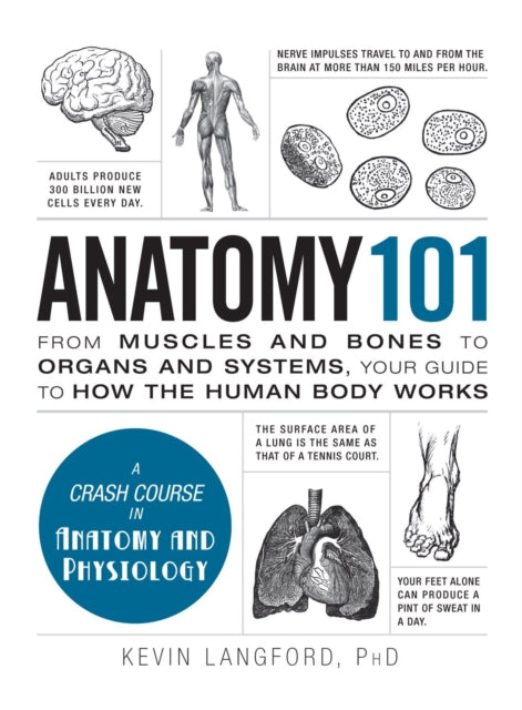 Binding: Hardcover
Description: An all - in - one guide to the human body! Anatomy 101 offers an exciting look into the inner workings of the human body. Too often textbooks turn the fascinating systems processes and figures of anatomy into tedious discourse that even Leonardo Da Vinci would reject.