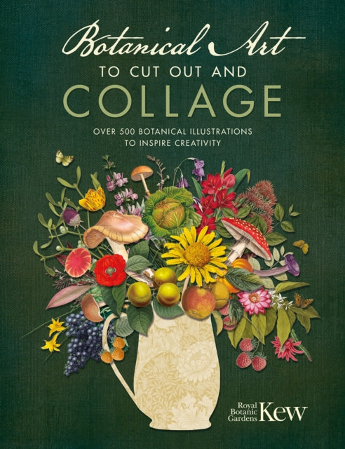 Botanical Art To Cut Out And Collage