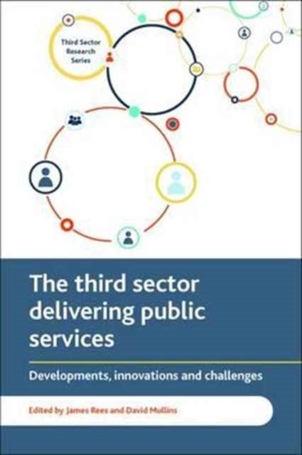 Bristol University Press - The Third Sector Delivering Public Services Developments Innovations And Challenges - Paperback