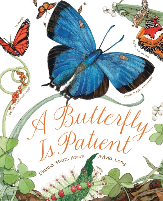 Binding: Paperback
Description: From the creators of the award - winning An Egg Is Quiet A Seed Is Sleepy and A Rock Is Lively comes this gorgeous and informative introduction to the world of butterflies.