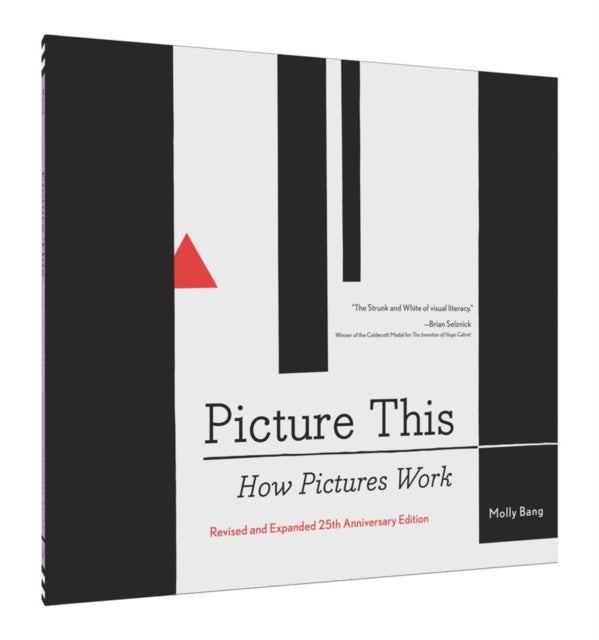 Chronicle Books - Picture This: How Pictures Work - Paperback