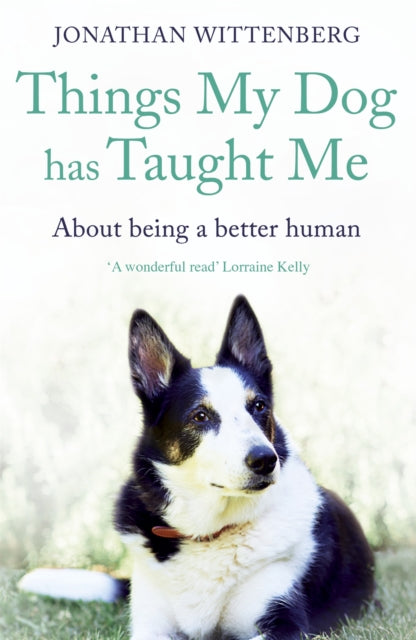Things My Dog Has Taught Me About Being A Better Human