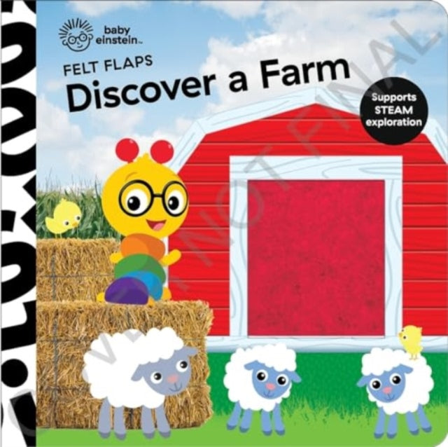 Kids P I - Baby Einstein Discover A Farm Felt Flaps - Hardcover