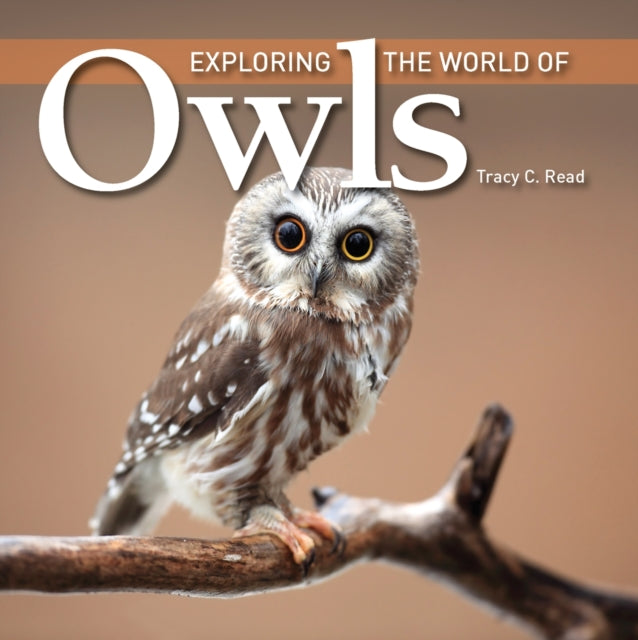 Binding: Paperback
Description: An illustrated introduction to the world of the Owl.
Title: Exploring The World Of Owls
Author(s): Read Tracy C.