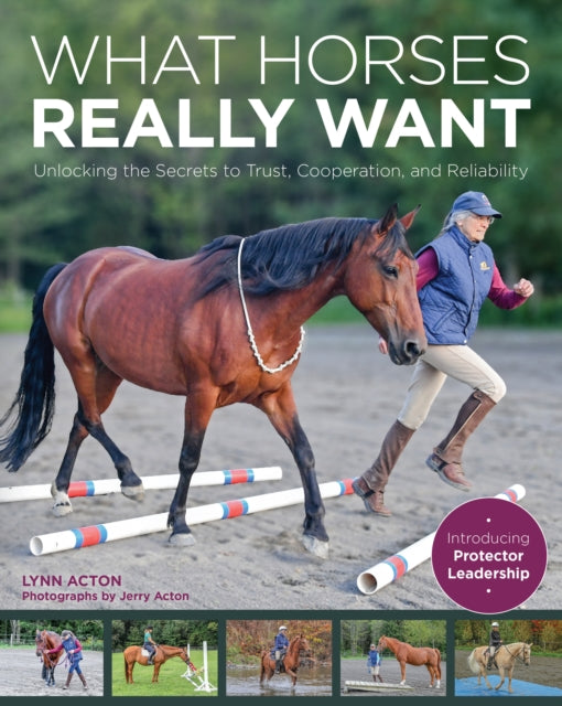 Binding: Paperback
Description: Relationships with horses whether for companionship or competition are complex and ever - changing.