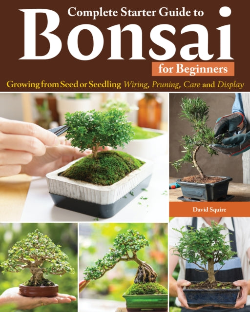 Binding: Paperback
Description: Creating bonsai an ancient art form that encourages meditation and contemplation can be an intimidating art to start because of its intricate and precise nature. But David Squire's new book is a gentle but complete beginner's guide to the craft.