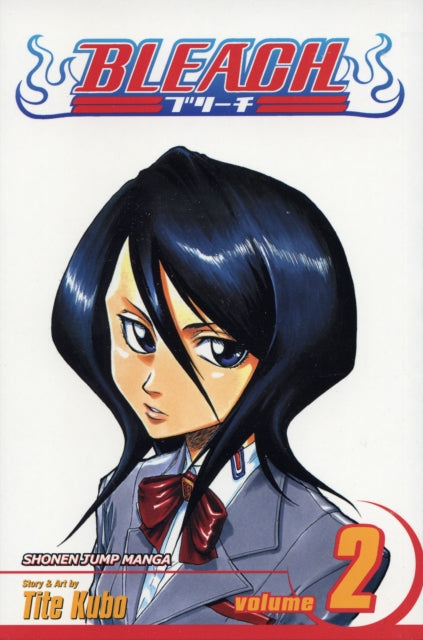 Bleach Vol. 2