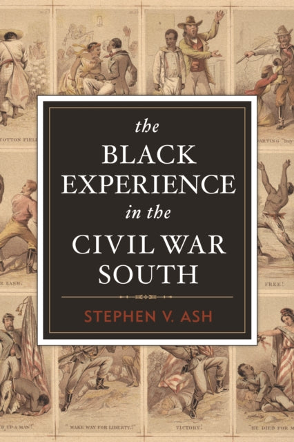 Binding: Paperback
Description: Large numbers of slaves worked for the Confederate war effort as wagon drivers munitions factory workers and officers body servants. But contrary to popular wisdom the number that actually bore arms for the Confederacy was negligible.