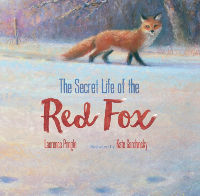 Pringle Laurence - Secret Life Of The Red Fox - Hardcover