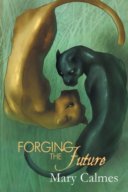 Binding: Paperback
Description: A Change of Heart Novel Jin Church is back where he started alone wandering and uncertain of his path. It's not by choice but by circumstance as he remembers he's a werepanther but not much else.