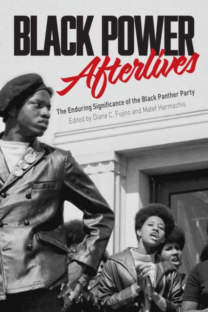 Haymarket Books - Black Power Afterlives The Enduring Significance Of The Black Panther Party - Paperback