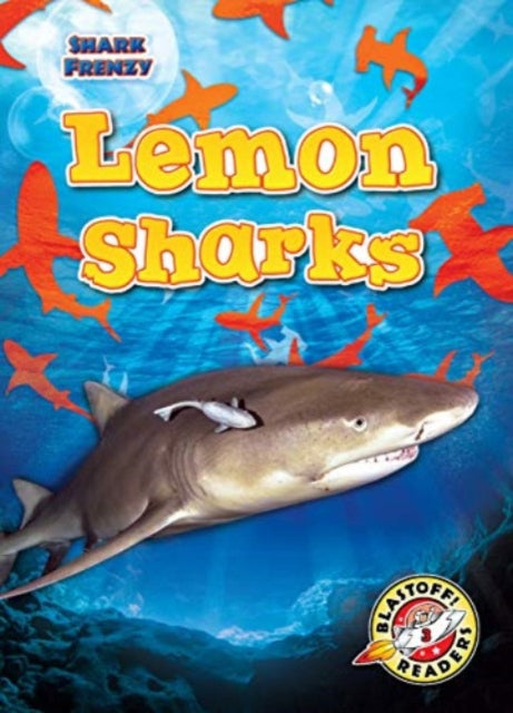 Pettiford Rebecca - Lemon Sharks - Hardcover