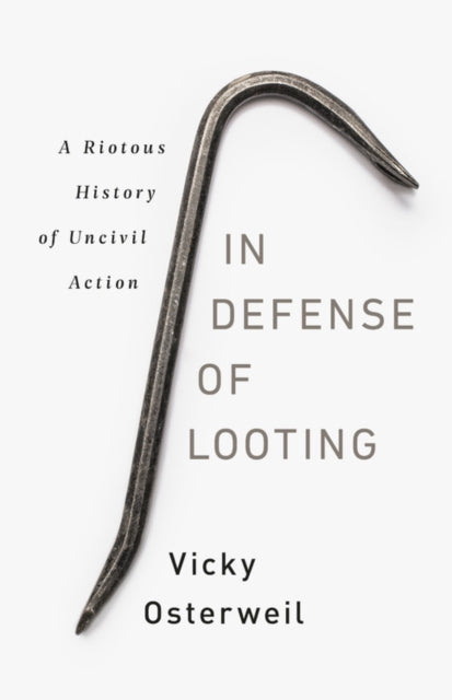In Defense Of Looting