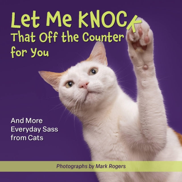 Let Me Knock That Off The Counter For You And More Everyday Sass From Cats
