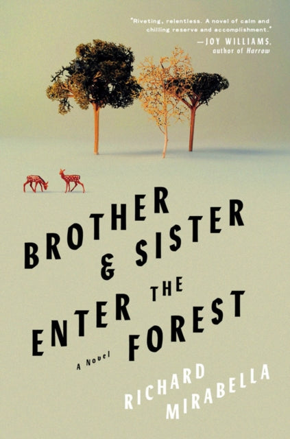 Binding: Hardcover
Description: After years of severed communication Justin appears on his sister's doorstep needing a place to stay. The home he's made for himself has collapsed as has everything else in his life.