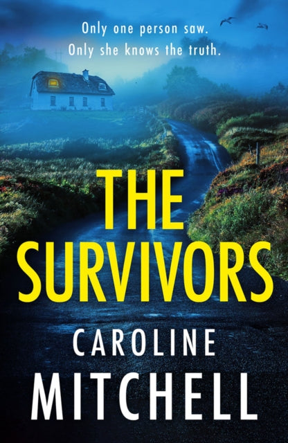 Binding: Paperback
Description: A fatal car crash with only one witness but is she telling the truth? On a winding cliff edge on the wild Irish coast two cars collide. In one is Maura Claffey's niece Finn and her baby daughter. In the other Kathryn with her own newborn and her own secrets.