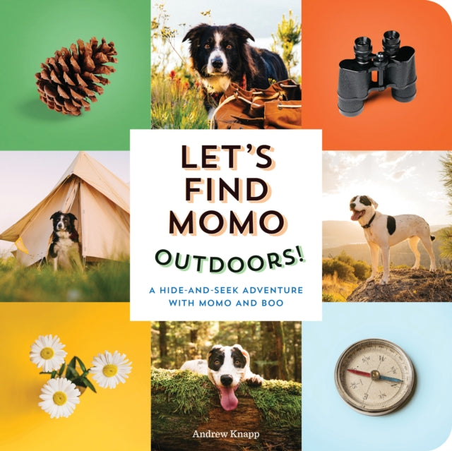 Binding: Special Bindings
Description: Explore the great outdoors with Momo the adorable border collie and his new puppy companion Boo in this bright friendly board book! In this follow - up to Let's Find Momo! spend a day with Momo as he sets off on a nature adventure.
