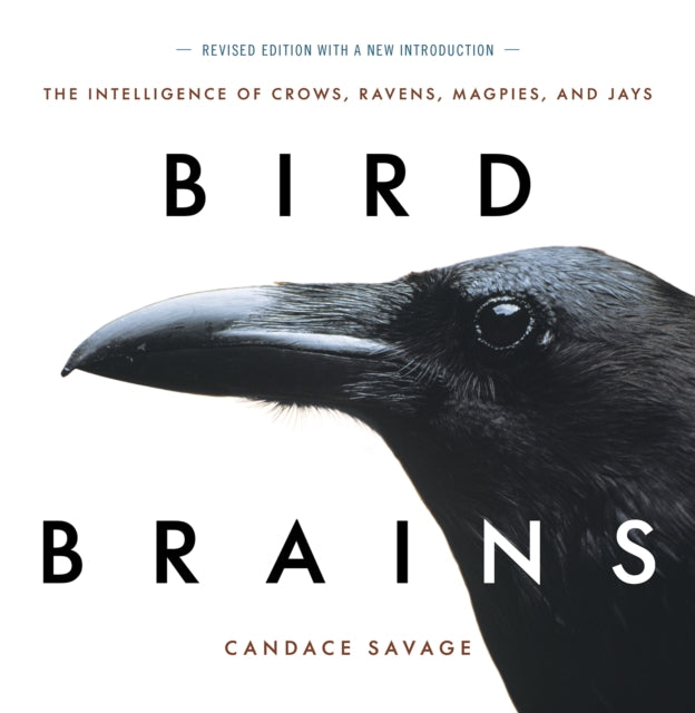 Binding: Paperback
Description: Internationally celebrated nature writer Candace Savage presents the Corvid family surprisingly bright brassy and colorful birds in a remarkable collection of full - color close - up photographs by some of the world's best wildlife photographers.